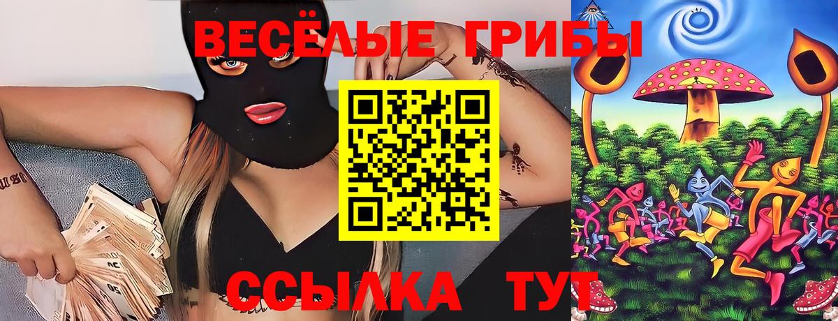 Пугачёв  где купить наркотик  Вход с VPN  Псилоцибиновые грибы Psilocybe 